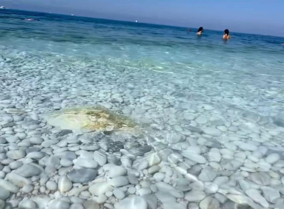 Casa Vacanze Marina Di Pisa Catola Exteriér fotografie